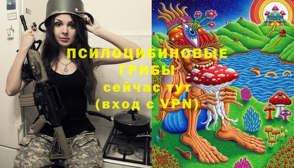 PSILOCYBIN Армянск