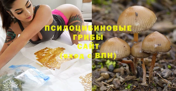 прущий лед Аркадак