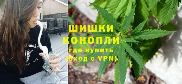PSILOCYBIN Армянск