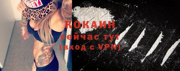 стафф Арсеньев